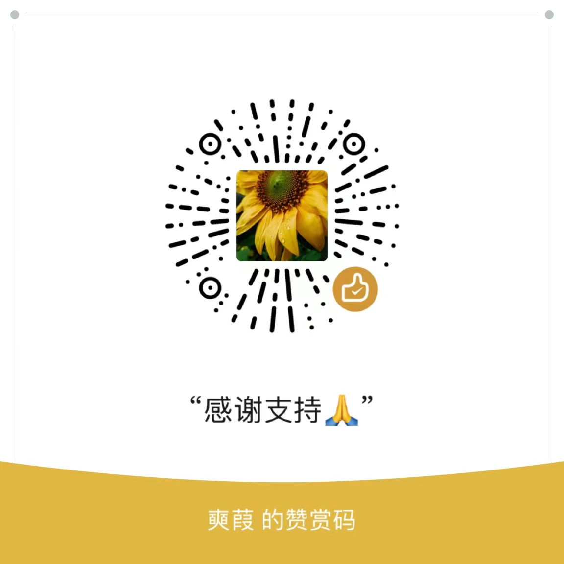 WeChat Pay QR Code